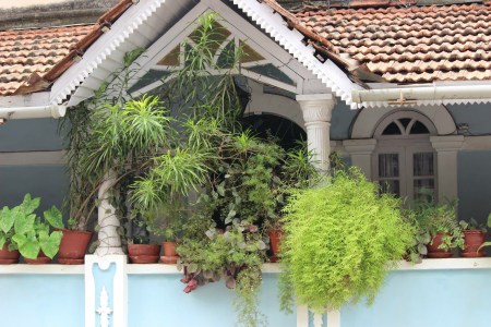 Nyambura.co - Traditional Portuguese Home