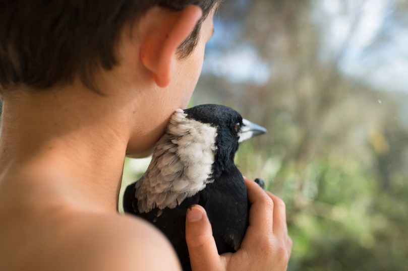 Nyambura.co - Penguin Bloom