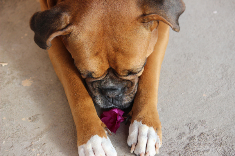 Nyambura.co - Precious