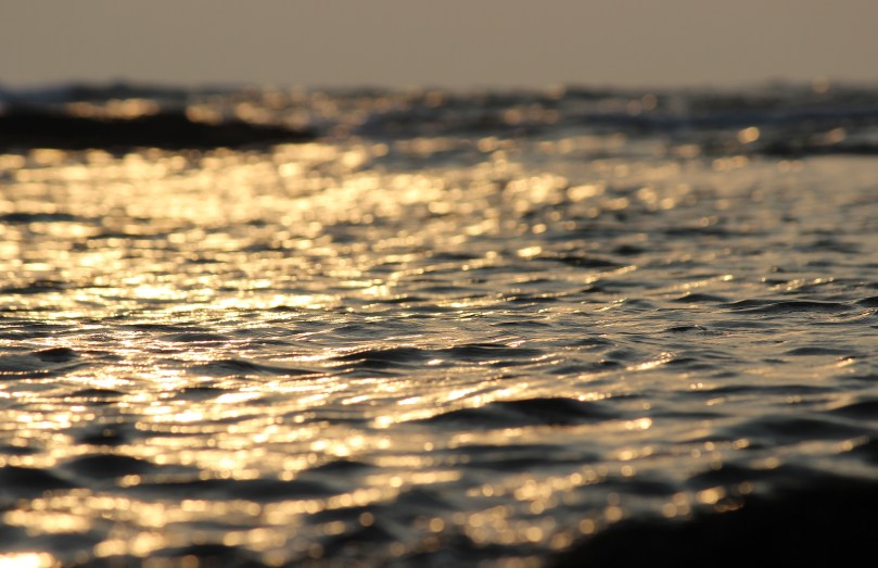 Nyambura - When in Goa