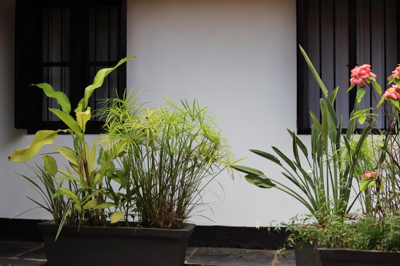 Nyambura.co - How to sleep well