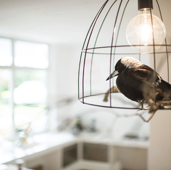 Nyambura.co - Penguin Bloom