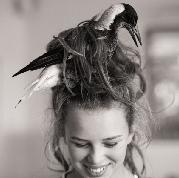 Nyambura.co - Penguin Bloom