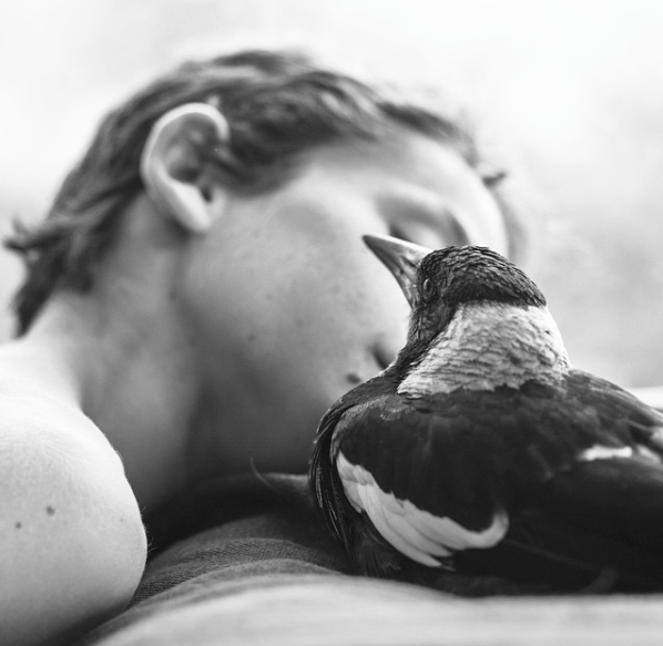 Nyambura.co - Penguin Bloom