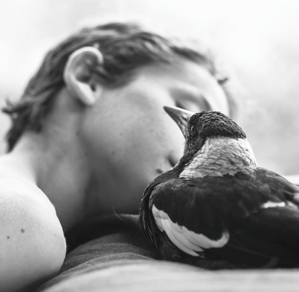 Nyambura.co - Penguin Bloom