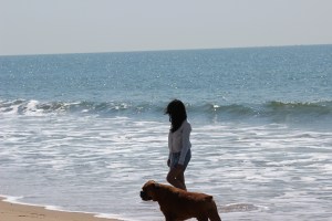 A do nothing holiday in Gokarna, Karnataka