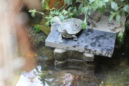 Nyambura.co - Road Trip to Mysore