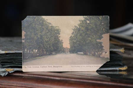 Nyambura.co - Road Trip to Mysore