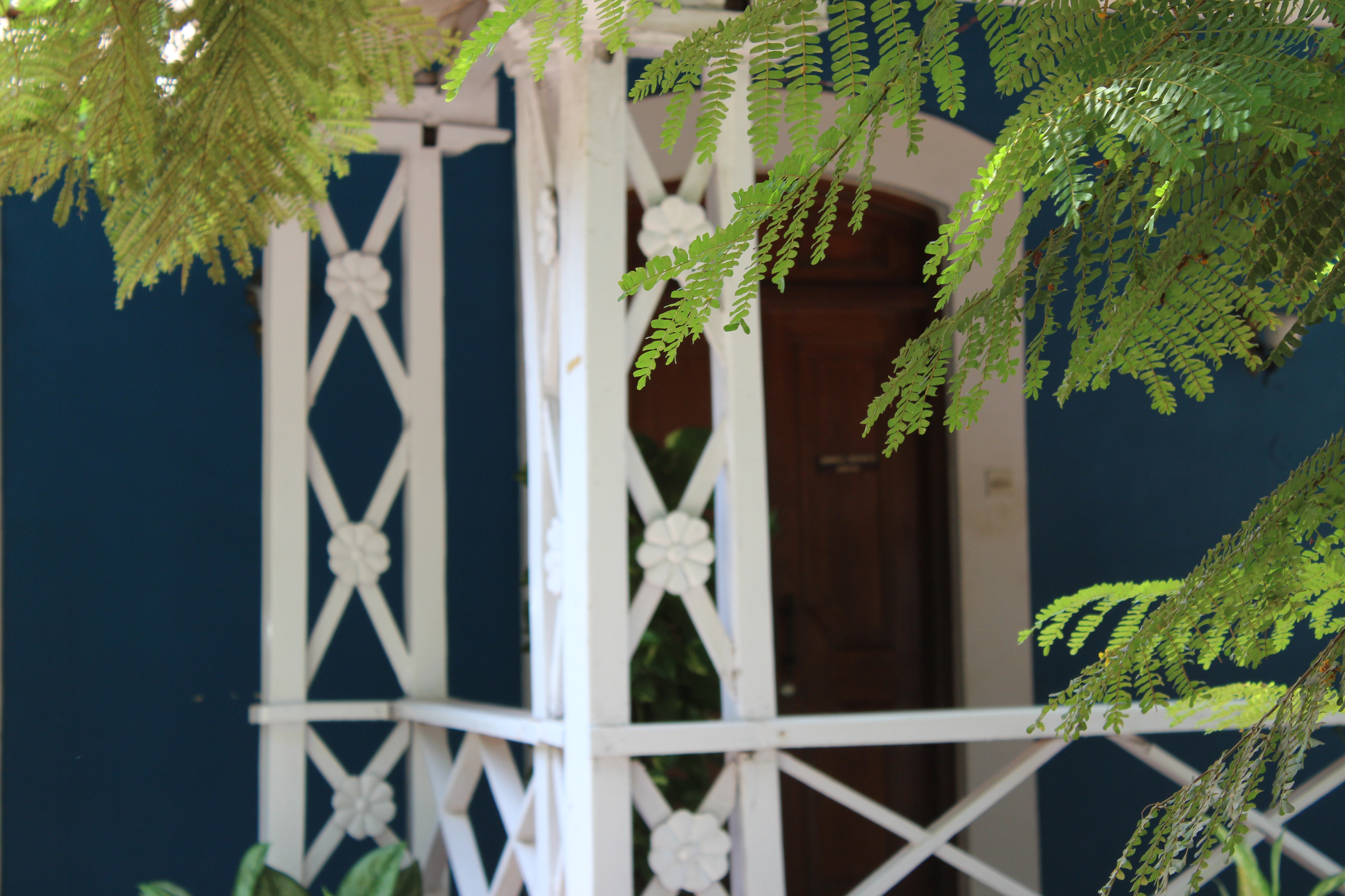 Nyambura.co - Goan Rhapsody