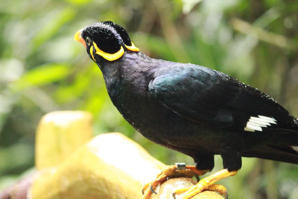 Nyambura.co - Guide to Singapore