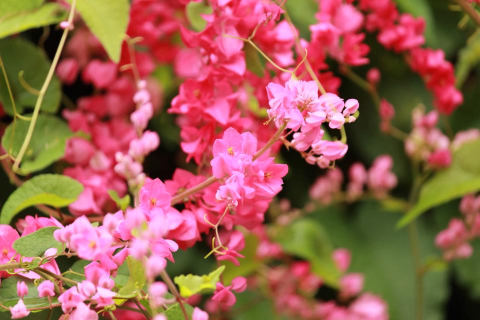 Nyambura.co - Guide to Singapore