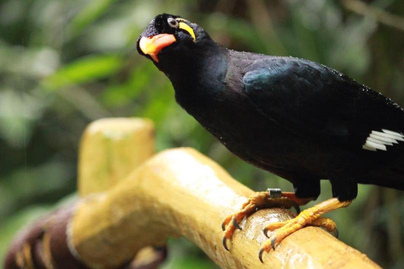 Nyambura.co - Guide to Singapore