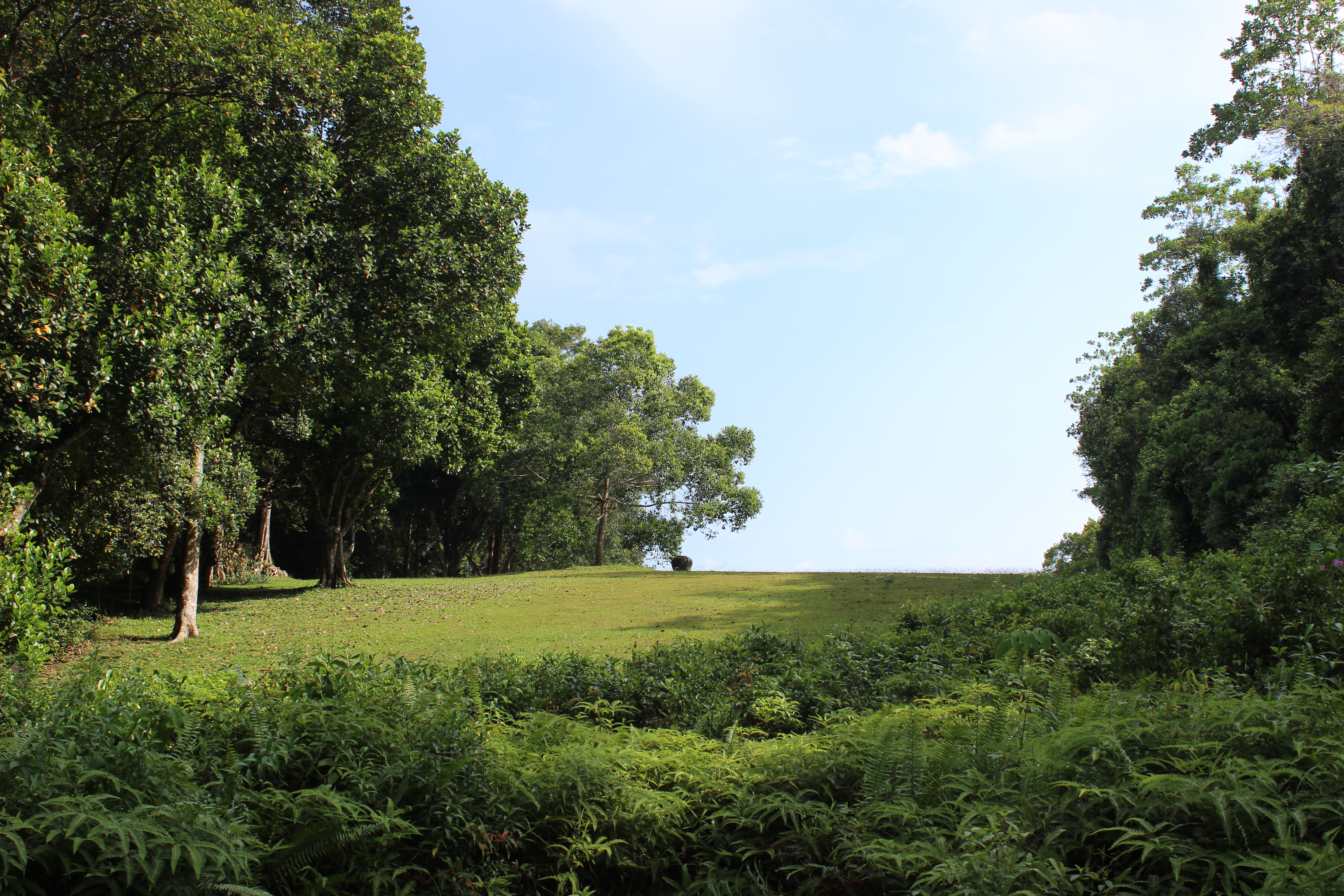 Nyambura.co - Guide to Ceylon