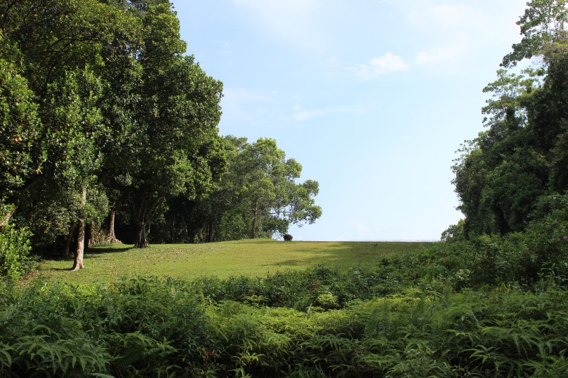 Nyambura.co - Guide to Ceylon