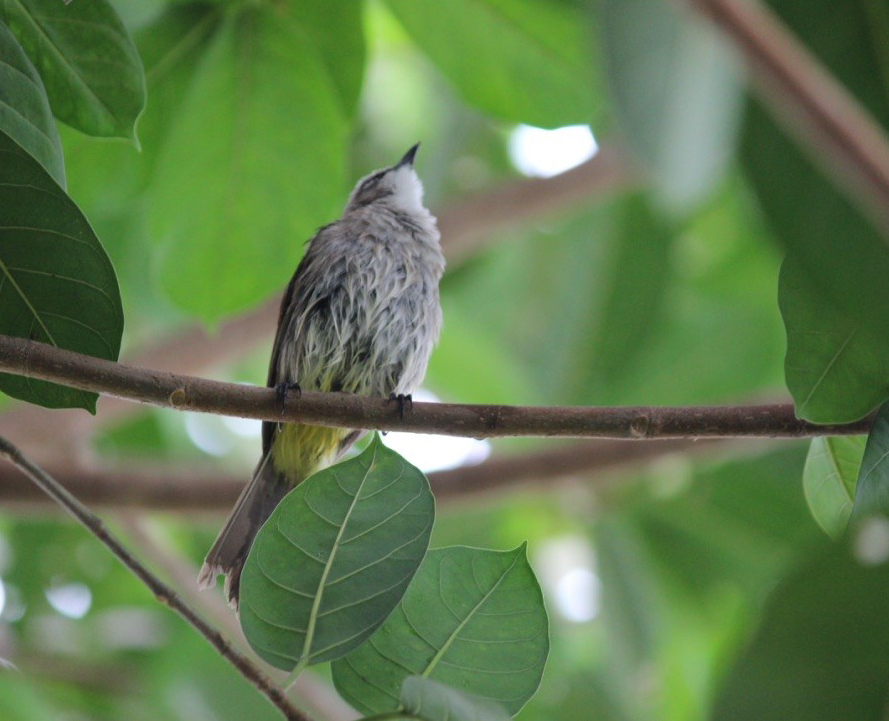 Nyambura.co - Guide to Bali