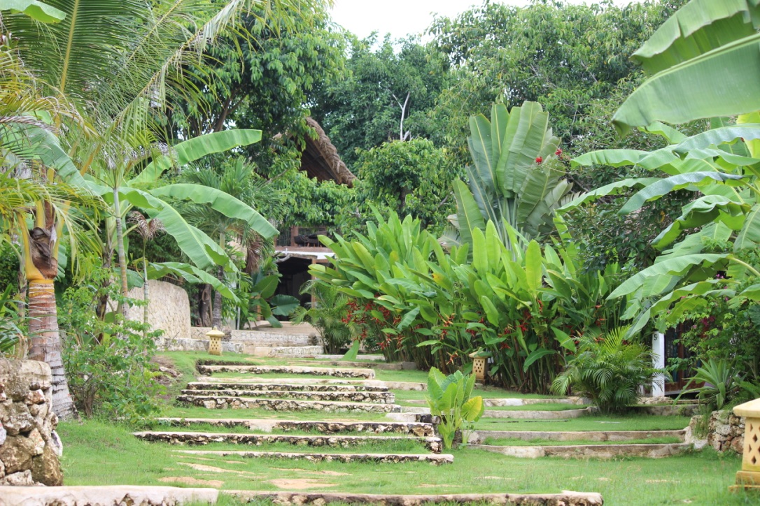 Nyambura.co - Guide to Bali