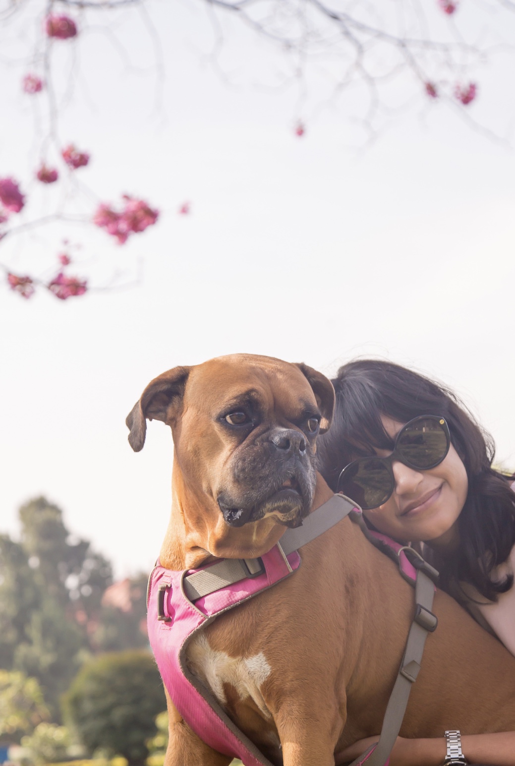 Nyambura.co - My Valentine