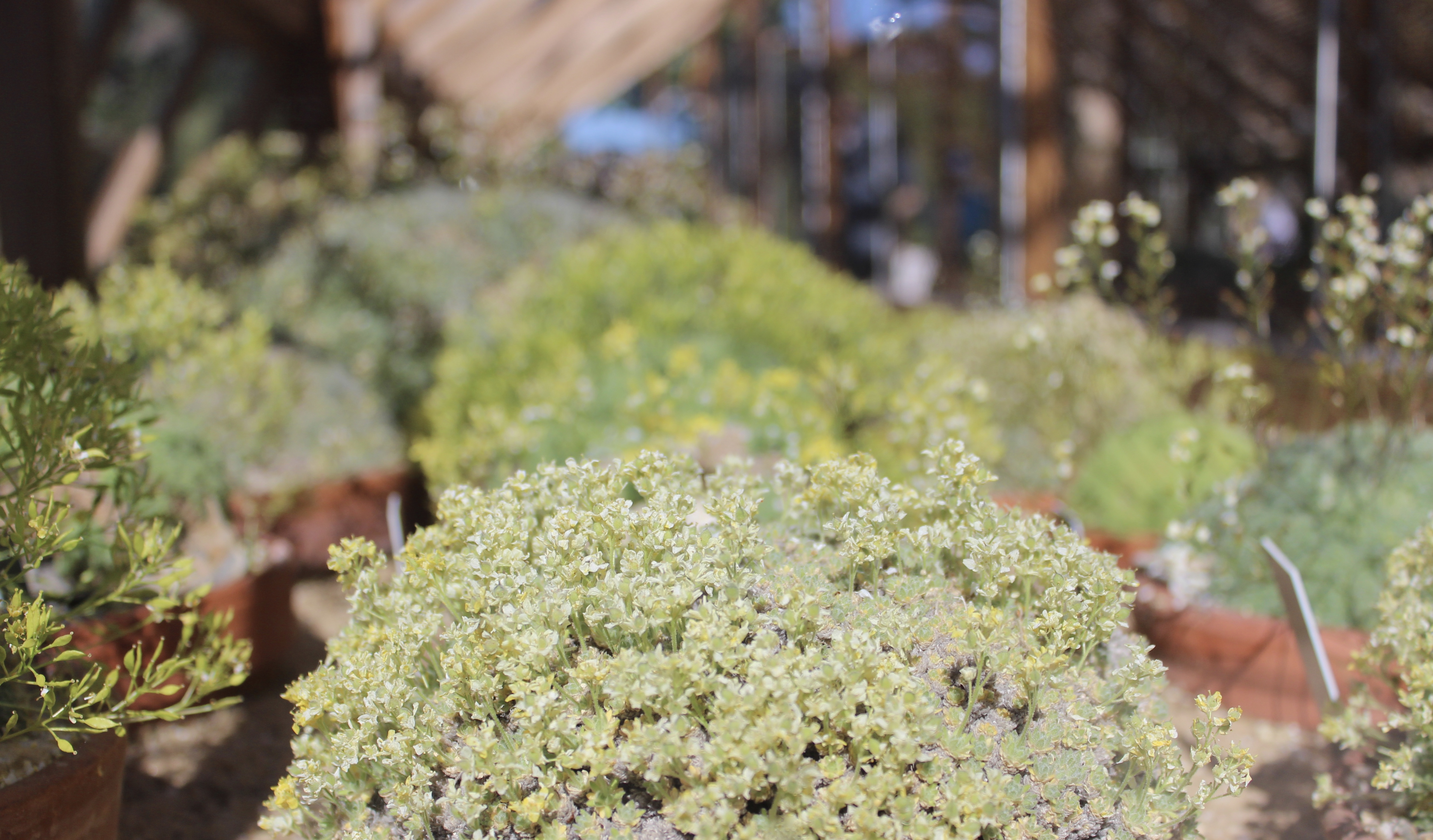 Nyambura.co - Guide to Edinburgh