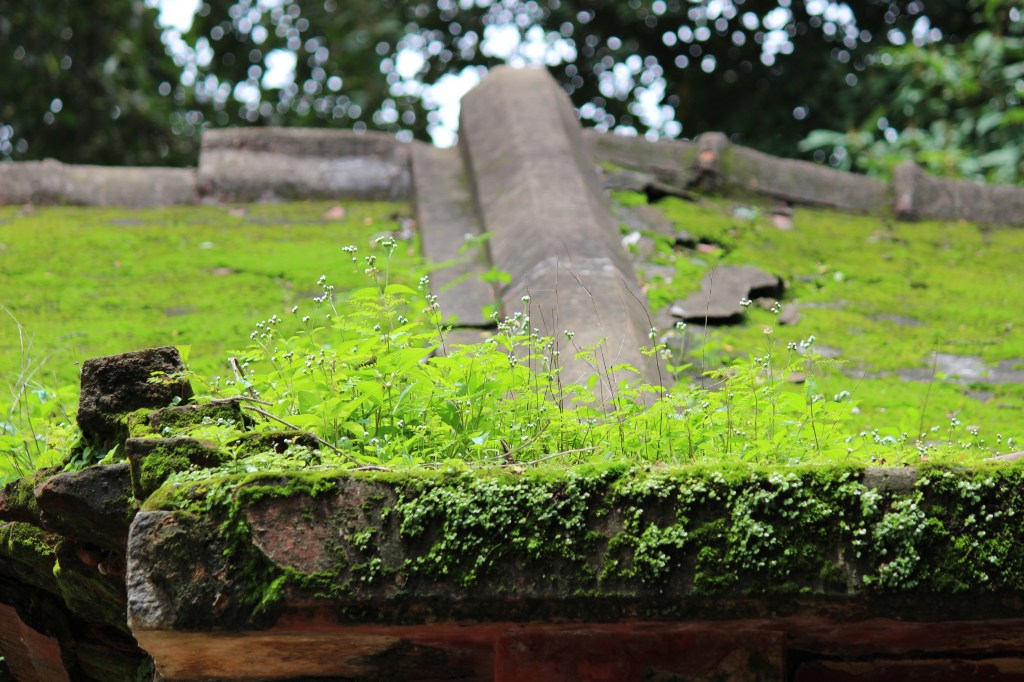 nyambura.co - born of the rain